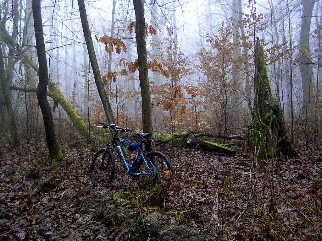 Wielkopolski Park Narodowy – cz. II