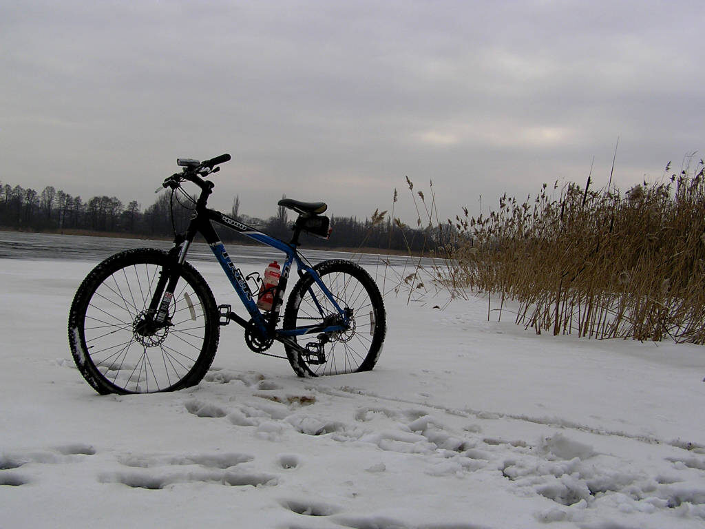 Nad jezioro Swarzędzkie
