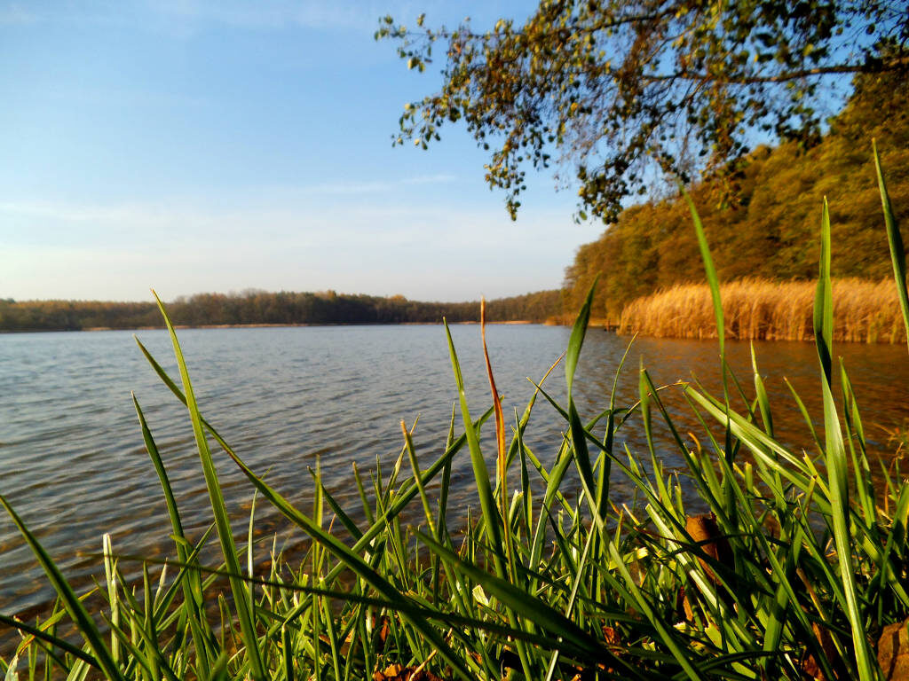 Wiosna w listopadzie