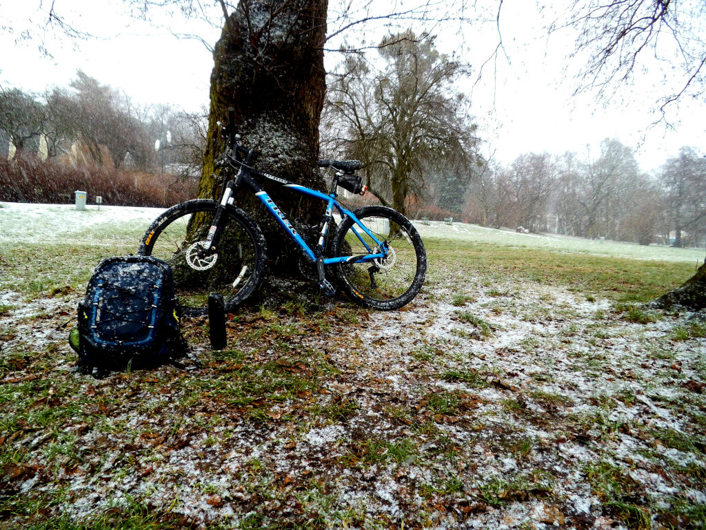 Morsowanie w śniegu