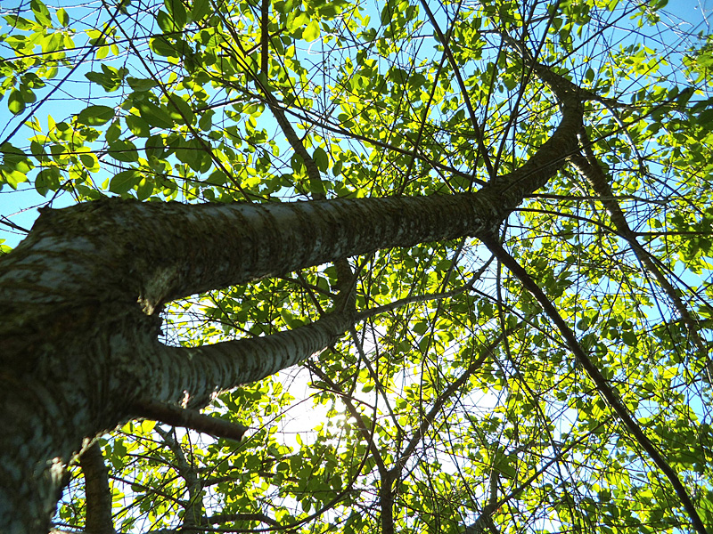 W poszukiwaniu skrawka błękitu