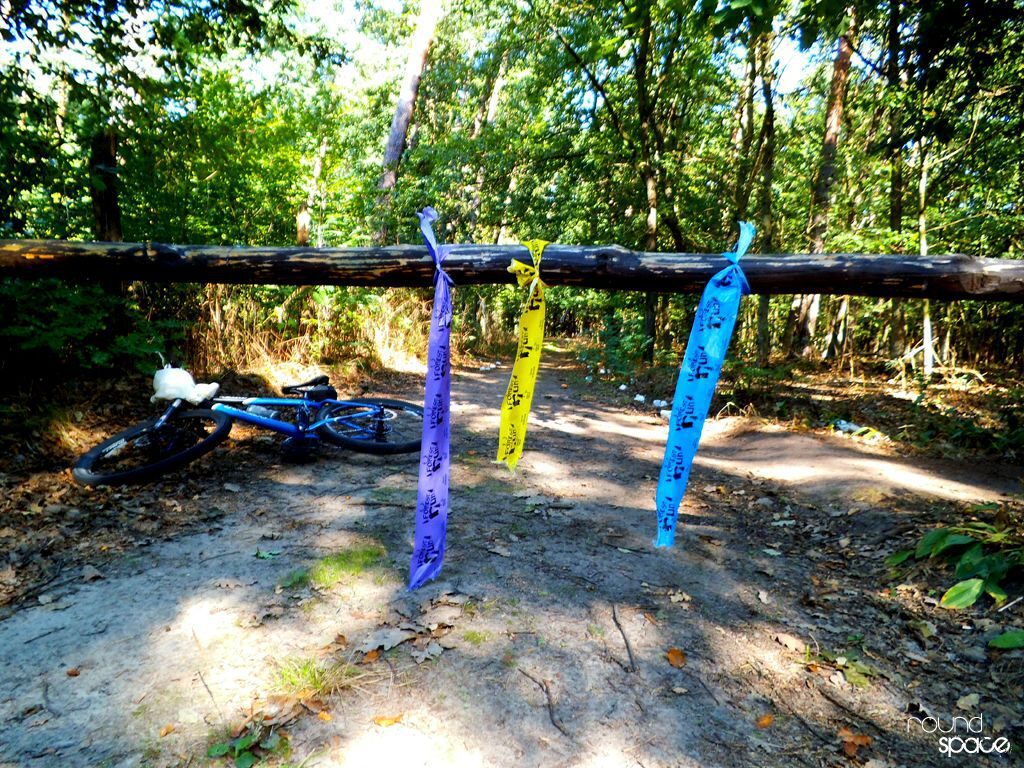 Zgrupka Luboń zabezpiecza Forest Run
