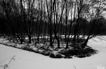 img_8005g