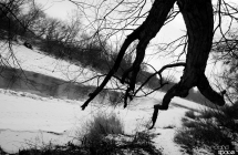 img_8028