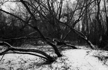 img_8035