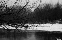 img_8037g