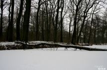 img_8055