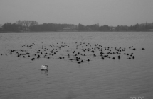 dscf3833