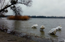 imag0071