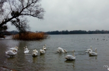 imag0079