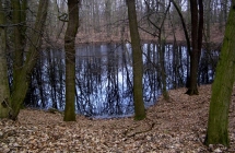 p1040639