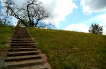 dscf5316