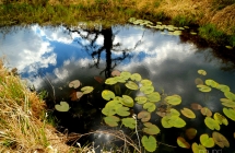 dscf5338