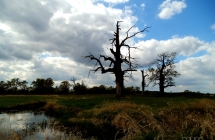 dscf5343