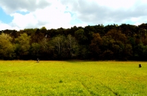 dscf5347