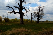 dscf5349