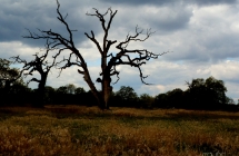 dscf5362