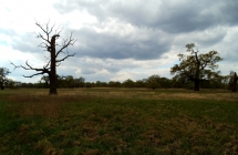 dscf5364