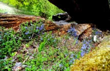 dscf5377