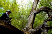 dscf5378