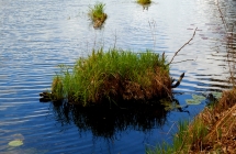 dscf5397