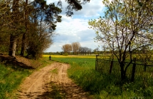 dscf5428
