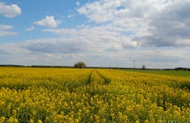 dscf5447