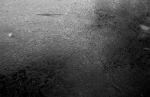 p2160281