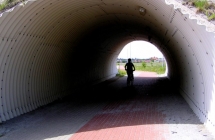 p1010014