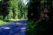 dscf4978