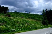 dscf5168