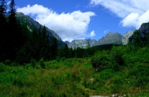 dscf5211