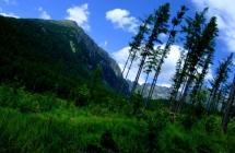 dscf5214