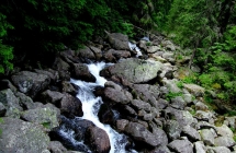 dscf5220