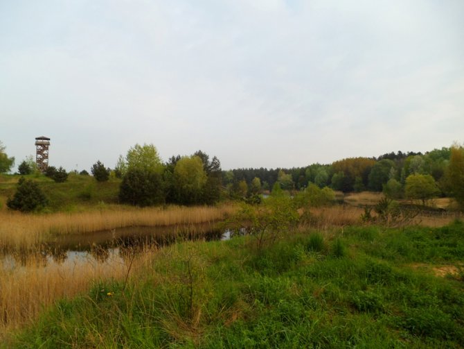 dscf9324