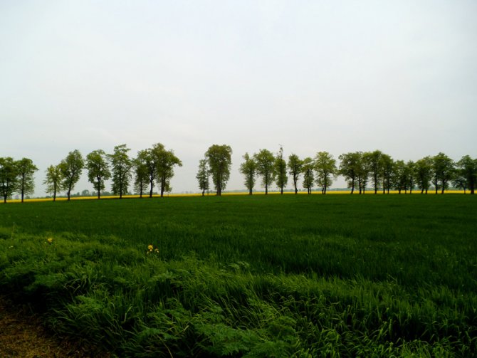 dscf9365