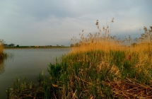 dscf9381