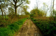 dscf9385