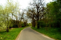 dscf9407