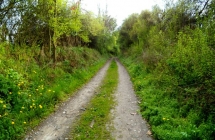 dscf9504