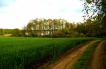 dscf9505