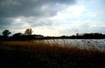 dscf9510