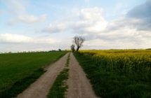 dscf9517