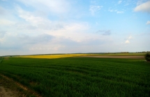 dscf9519