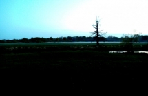 dscf9548
