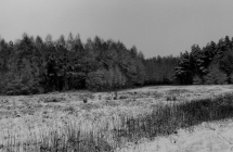 p1150735