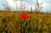 dscf5830