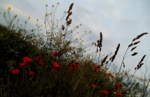dscf5838