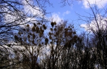 p3160333