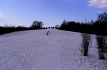 p3160347